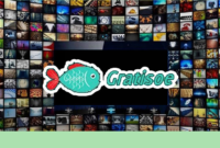 Download dan Install Gratisoe TV Terbaru 2022