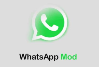 Daftar Aplikasi WhatsApp Yang Bisa Melihat Pesan Yang Sudah Dihapus